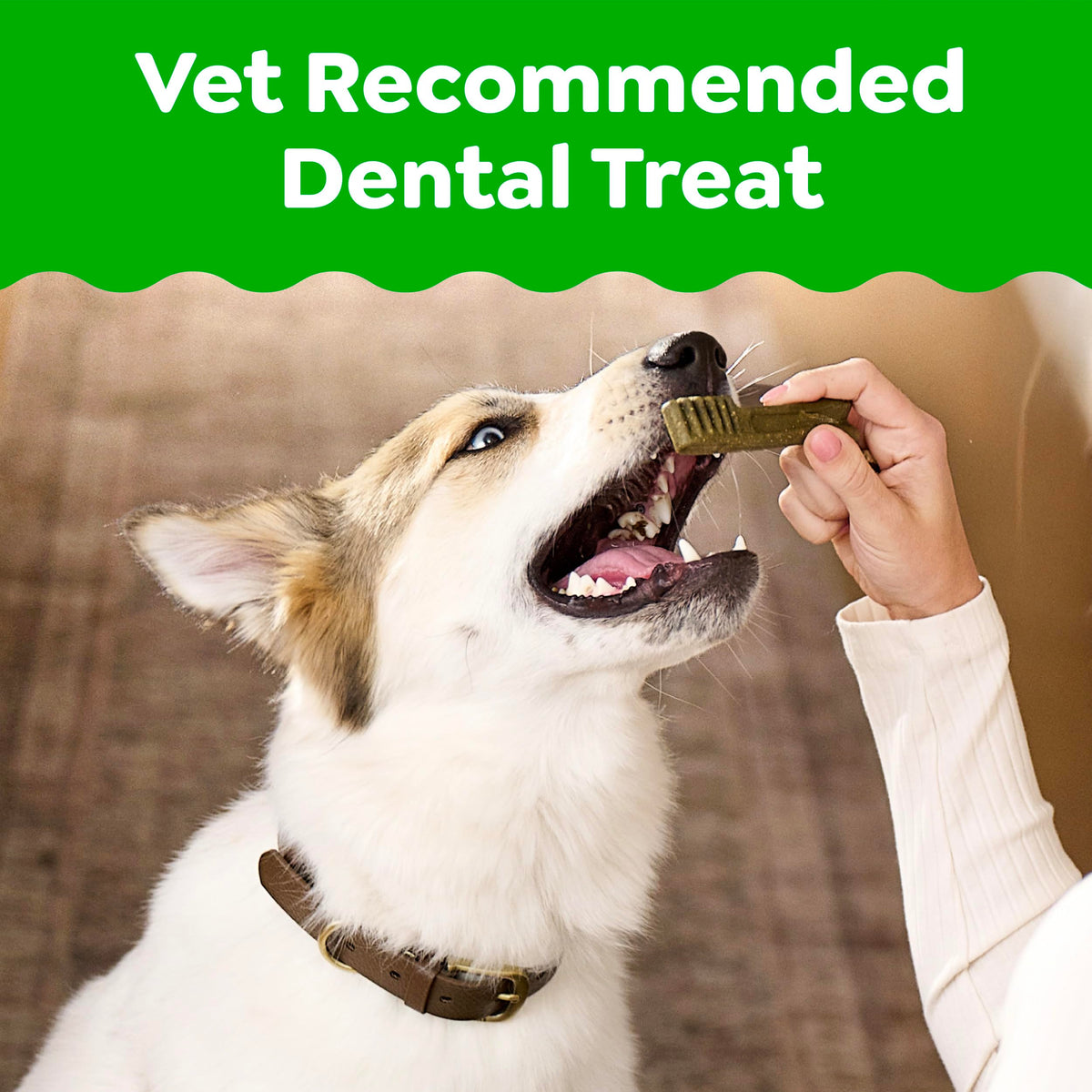 Chicken Dental Dog Treats 43 Count Z954512