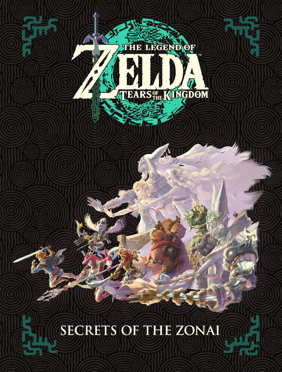 Zelda Tears of the Kingdom B40137