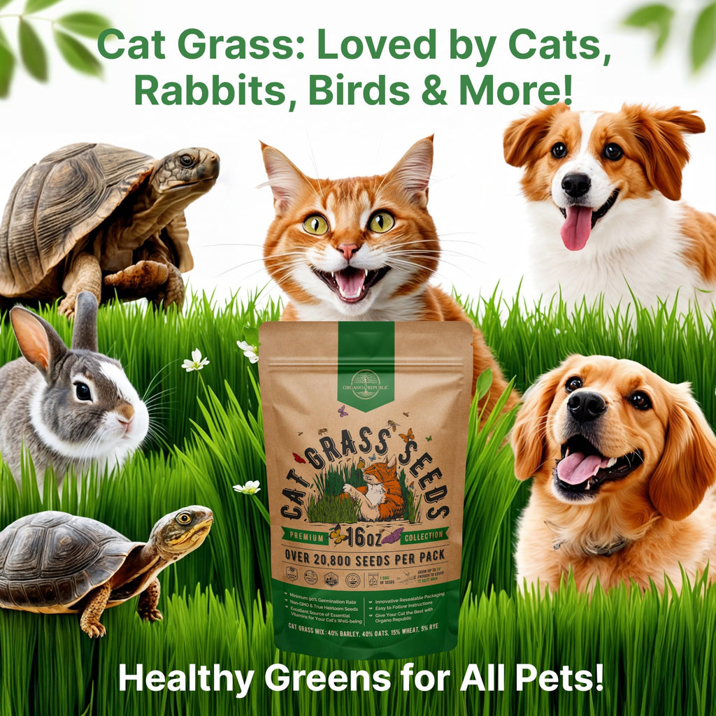 Cat Grass Seeds Mix 16 oz Non-GMO Heirloom N480439