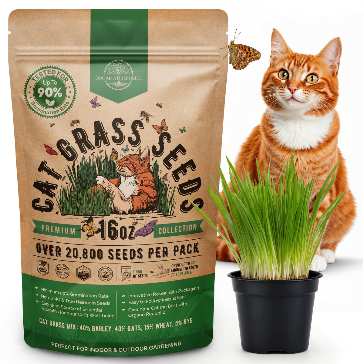 Cat Grass Seeds Mix 16 oz Non-GMO Heirloom N480439