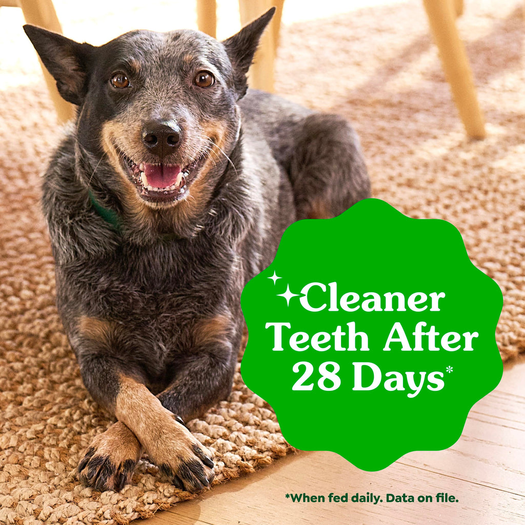 Chicken Dental Dog Treats 43 Count Z954512
